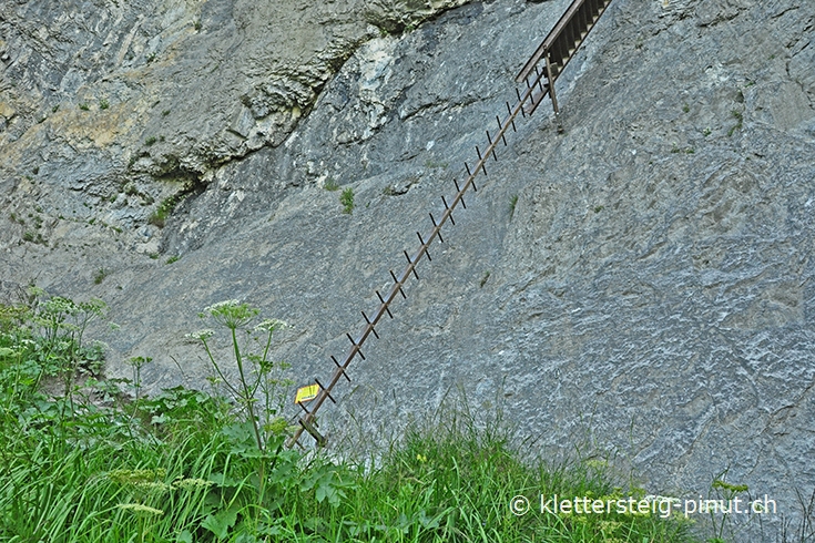 Einstieg (Steigbaum) in den Klettersteig Pinut beim Meilerstein